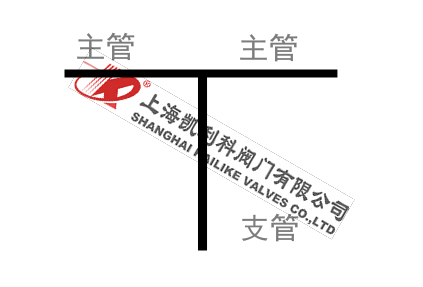 對焊連接直流式T型過濾器管路支管圖